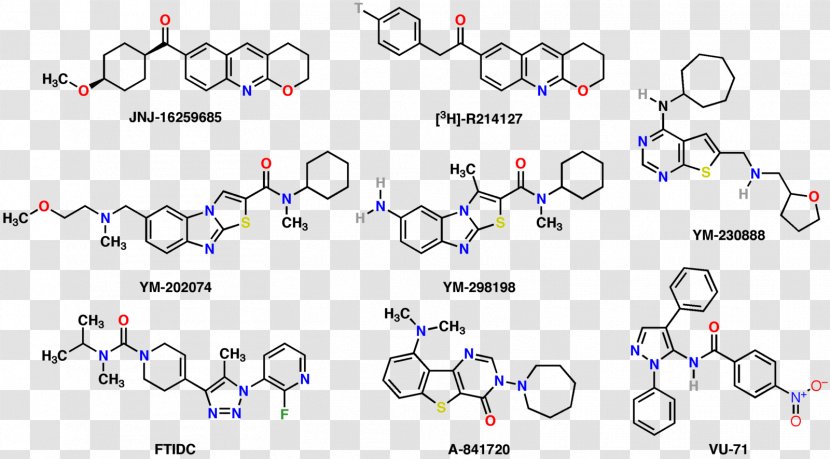 Metabotropic Glutamate Receptor 1 Lithol Rubine BK Dye Apocarotenal - Flower - Cartoon Transparent PNG
