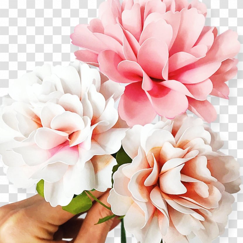 Paper Carnation Flower How-to Pattern - Chinese Cutting - Hand Painted Carnations Transparent PNG