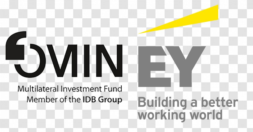 Ernst & Young Advisory Services Sdn Bhd (811619 - Accounting - M) Business Deloitte InvestmentBusiness Transparent PNG