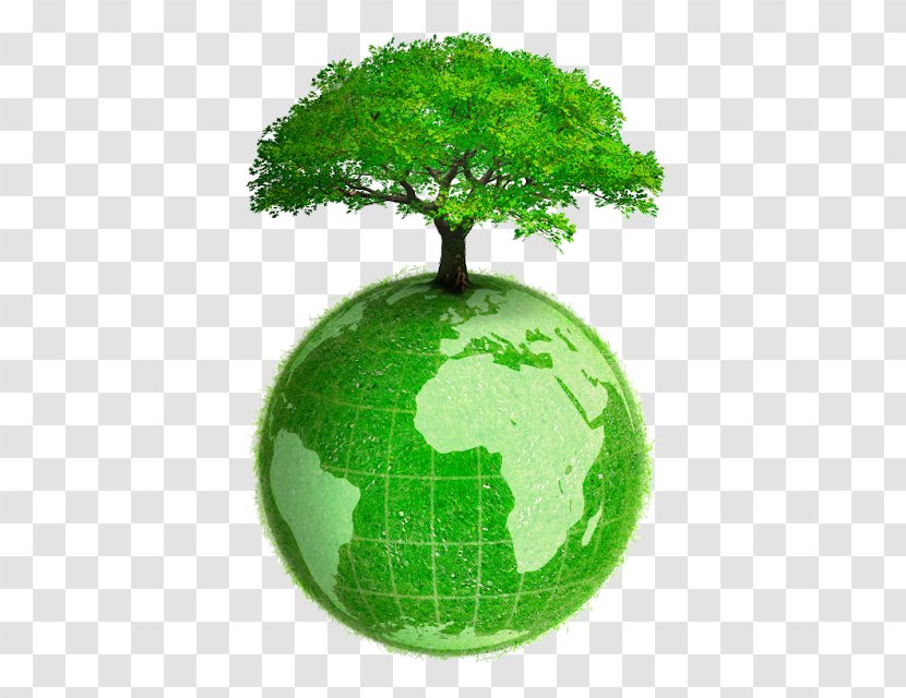 /m/02j71 Earth Tree Green - Grass Transparent PNG