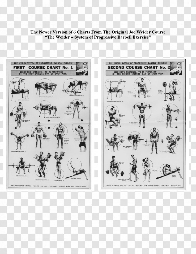 The Weider System Of Bodybuilding Joe Weider's Bodybuilding: Trainingsmethoden Und Ernährungsprinzipien Total Gym Fitness Centre Exercise - Heart - Barbell Transparent PNG