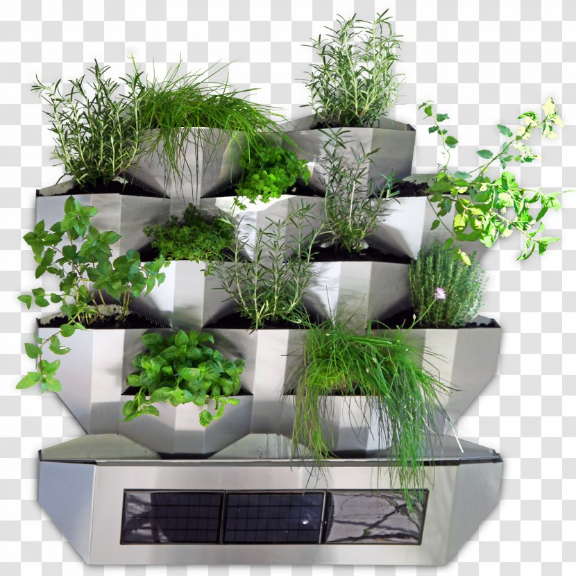 Flowerpot Garden Balcony Wall Green Ambassador GmbH Transparent PNG