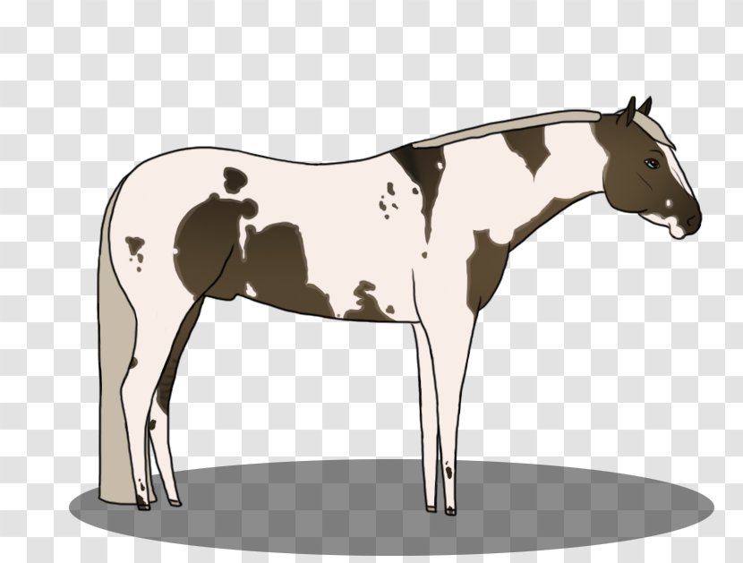 Mule Mustang Foal Stallion Colt - Pony - Shadow Hunters Transparent PNG