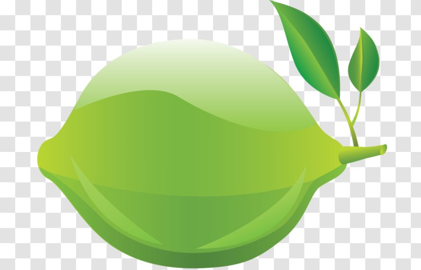 Lemon Lime Clip Art - Leaf Transparent PNG
