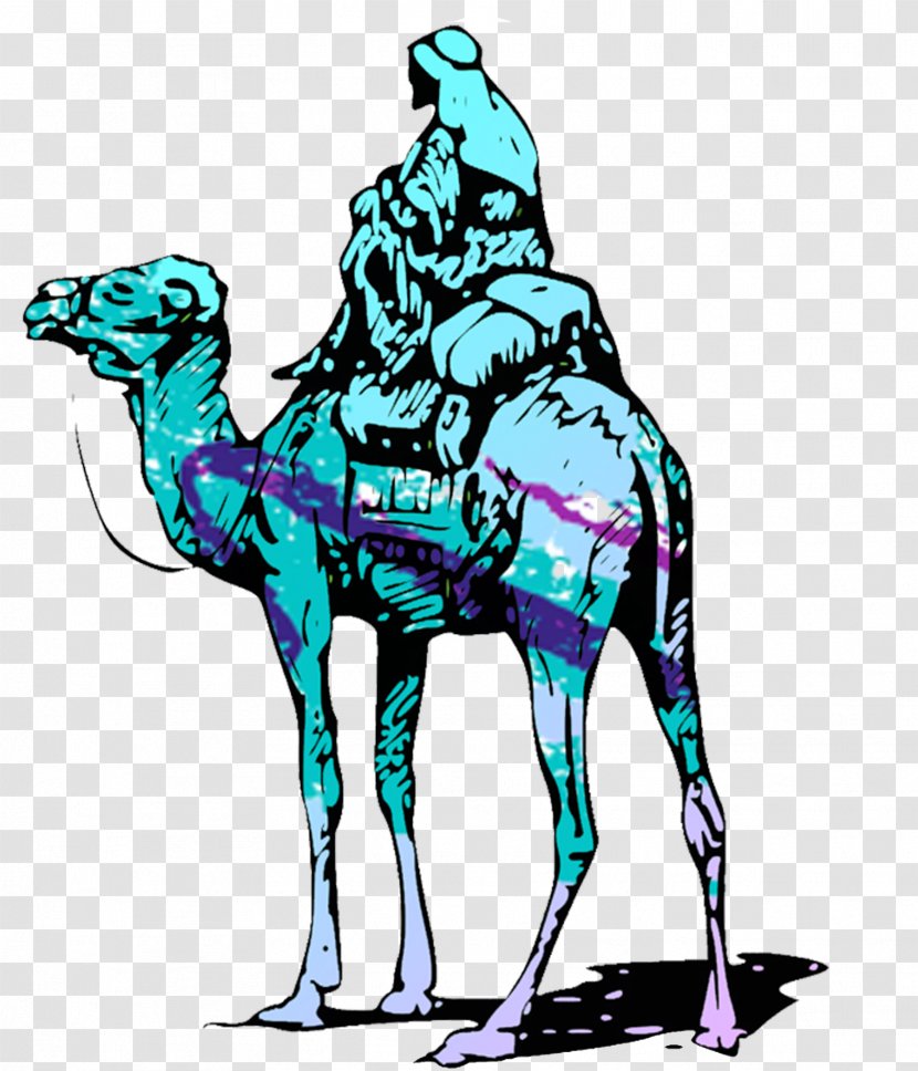 Silk Road Dromedary Bactrian Camel Bitcoin - Like Mammal Transparent PNG