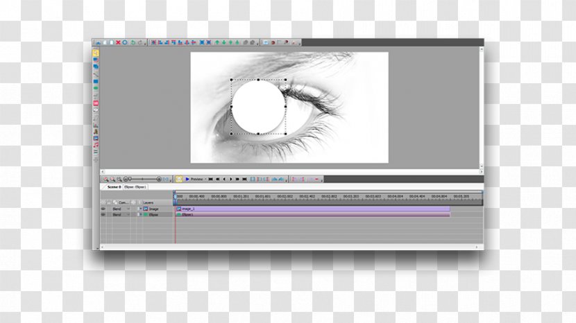 VSDC Free Video Editor Editing Image Screenshot - Flower - Gradient Title Bar Transparent PNG