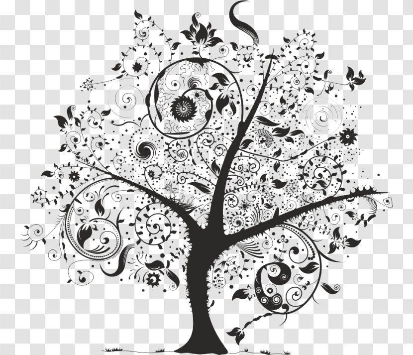 Chaos Theory Tree Drawing Weeping Willow - Science Transparent PNG