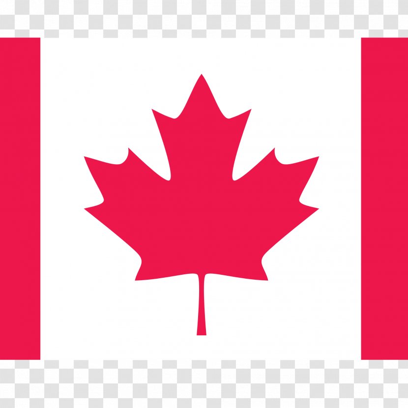 Flag Of Canada Maple Leaf Quebec - Flowering Plant Transparent PNG