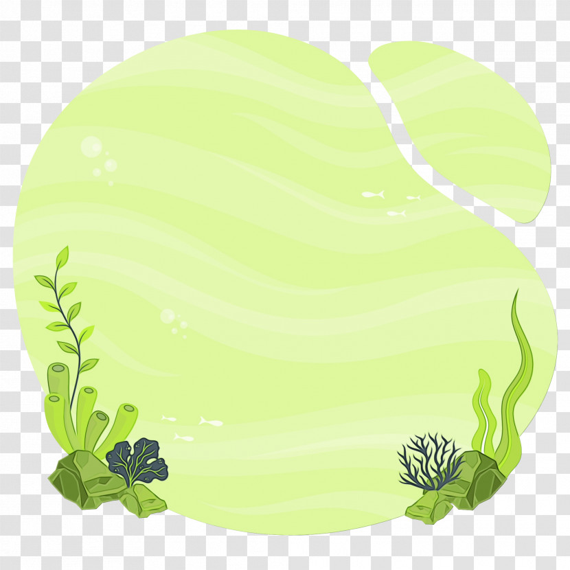 Drawing Fish Sharks Cartoon Leaf Transparent PNG