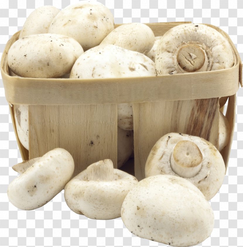 Snow Fungus Diabetic Diet Edible Mushroom - Ingredient Transparent PNG