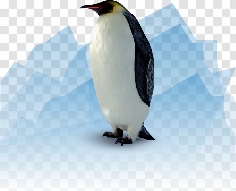 Euclidean Vector Vecteur Animation - Adult - Penguin Transparent PNG
