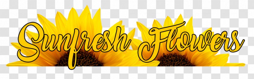 Logo Brand Desktop Wallpaper Font - Text - Fresh Bloom Transparent PNG