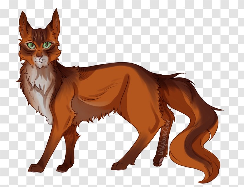 Whiskers Red Fox Cat Fauna Fur - Pumpkin Expression Transparent PNG