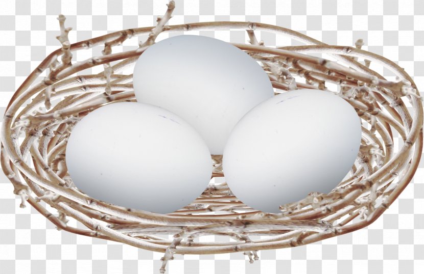 Egg Bird Nest - Lighting - Floating Small Eggs Transparent PNG