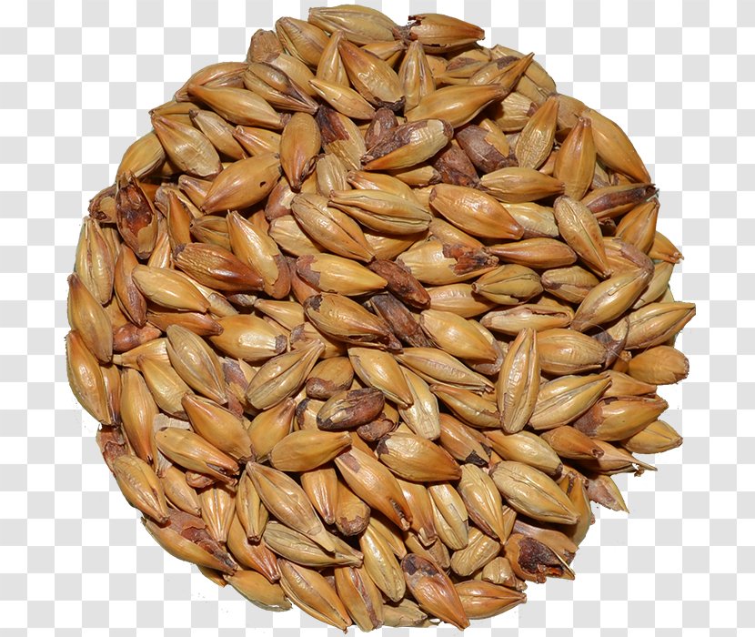 Cereal Germ Whole Grain Emmer Spelt - Common Wheat - Beer Brewing Grains Malts Transparent PNG