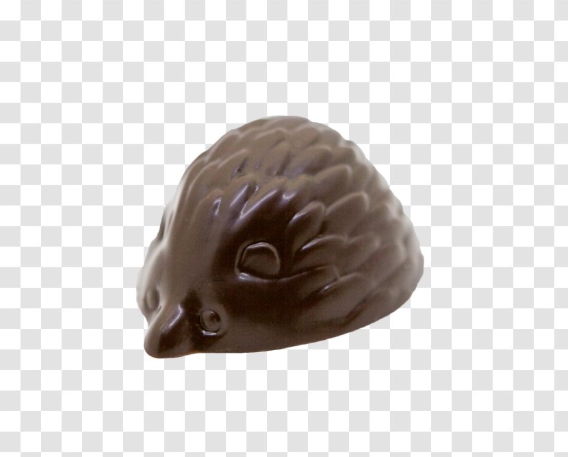 Praline - Chocolate - Czech Hedgehog Transparent PNG