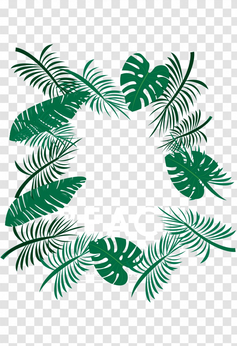 Palm Leaves Download - Leaf - Flora Transparent PNG