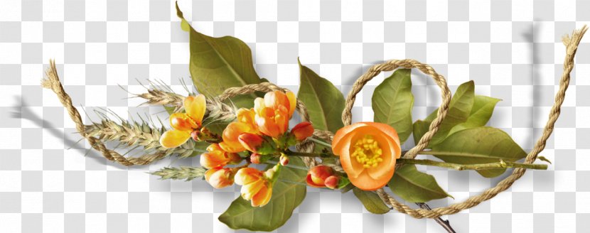 Bracket - Ornament - Flower Bouquet Transparent PNG