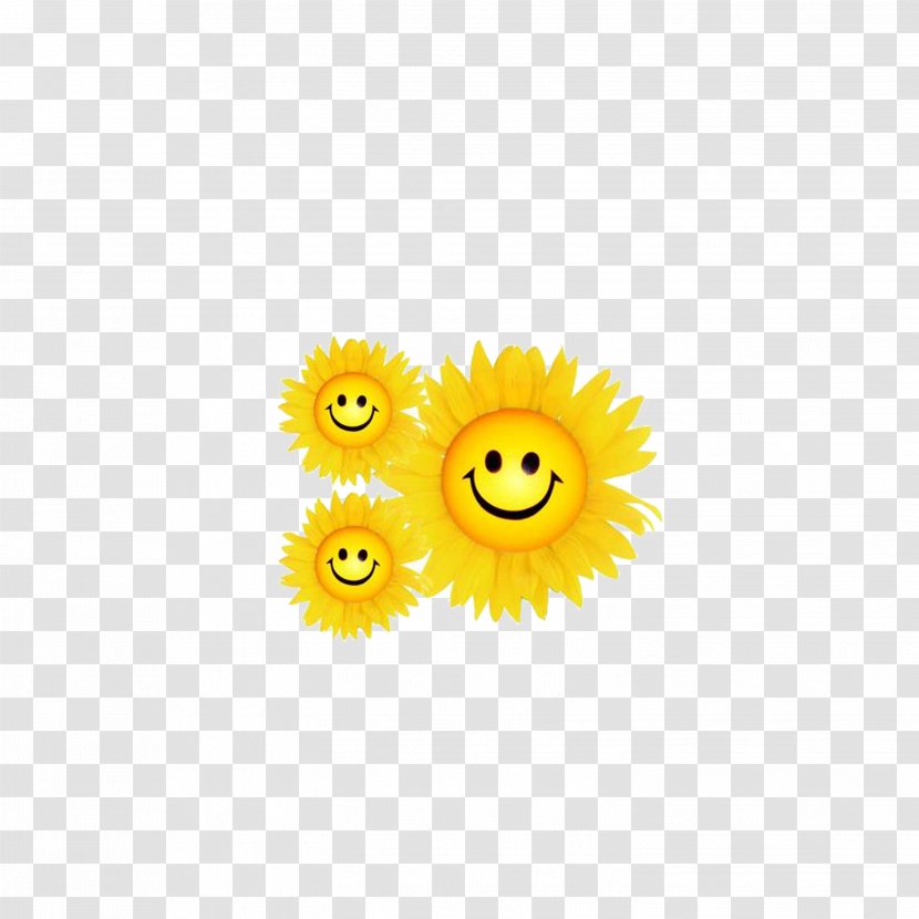 Common Sunflower Smiley Yellow Pattern Transparent PNG