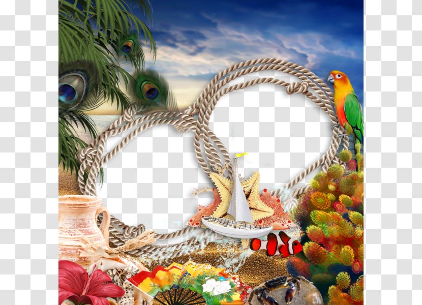 Download Feather - Organism - Creative Rope Border Transparent PNG