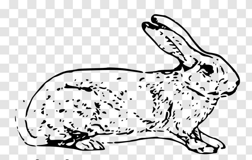 Easter Bunny Hare Rabbit Clip Art - Terrestrial Animal - Coelho Transparent PNG