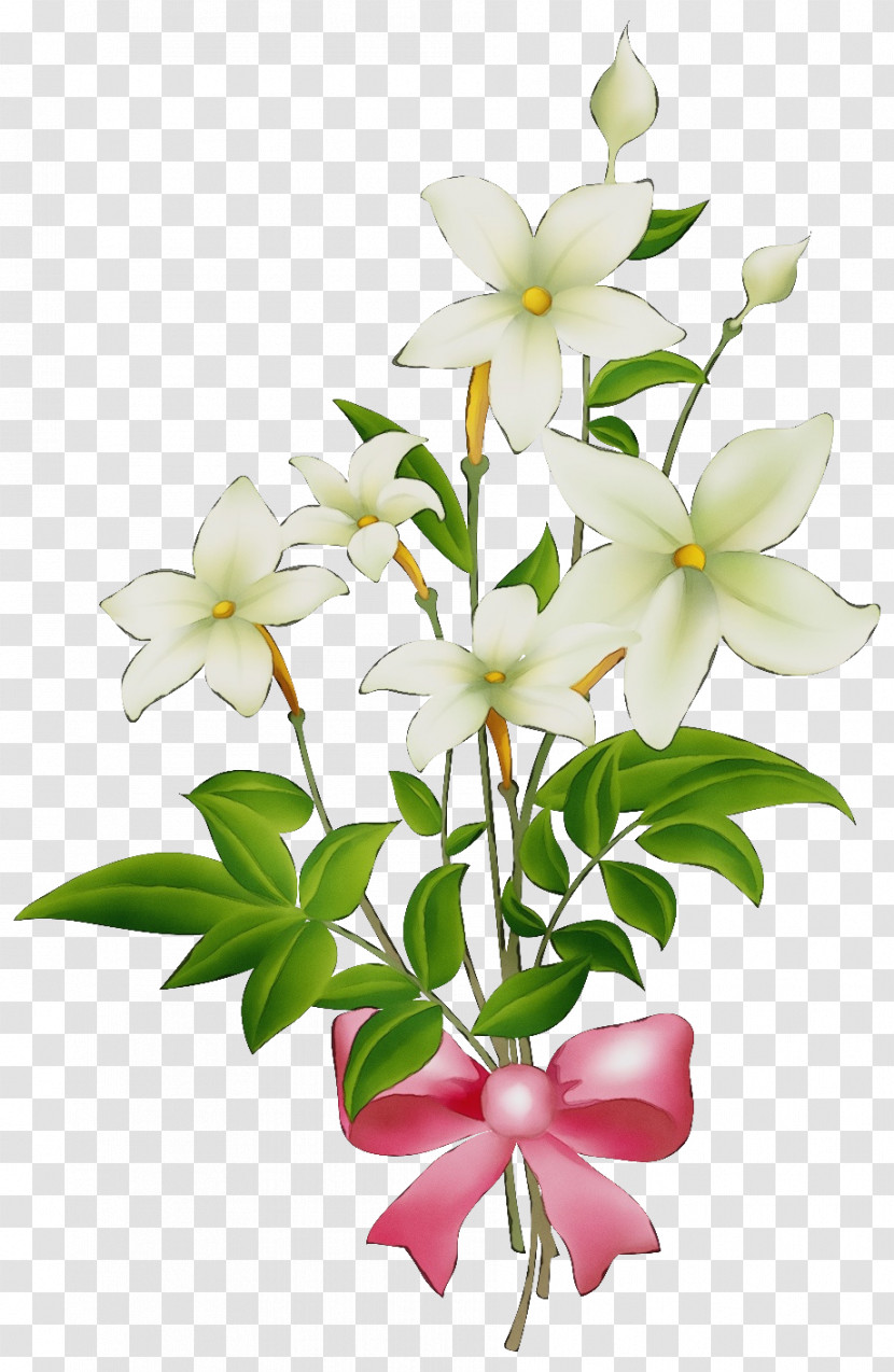 Floral Design Transparent PNG