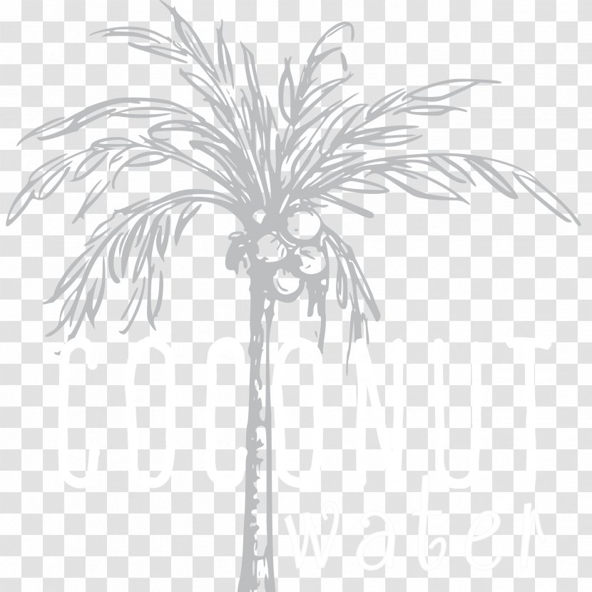 Twig Arecaceae Date Palm Plant Stem Leaf - Flower Transparent PNG
