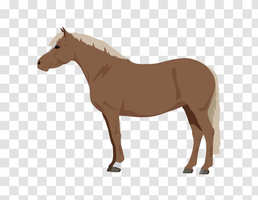Horse Royalty-free Stock Photography Pony Illustration - Poster Transparent PNG