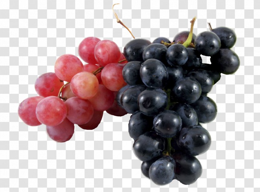 Wine Common Grape Vine Must Verjuice - Plant Transparent PNG