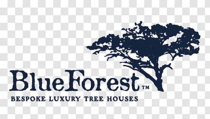 Tree Blue Forest Building Architectural Engineering - Forset Cabin Transparent PNG
