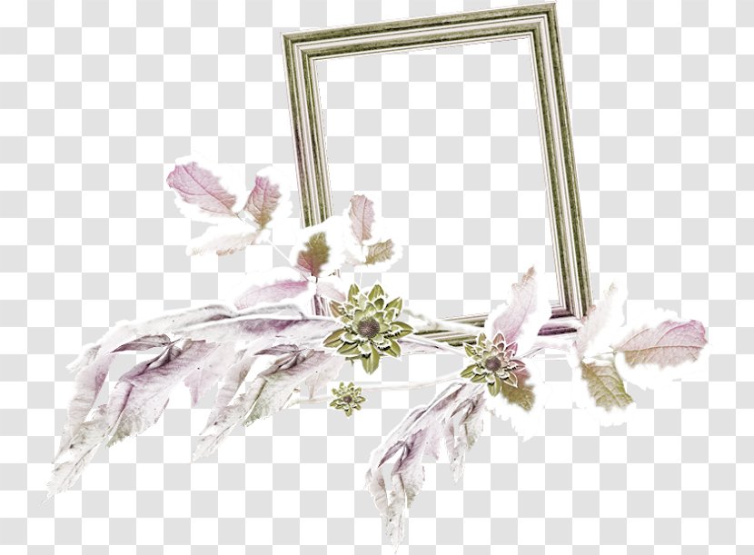 Floral Design Photography Picture Frames - Pink - Web Transparent PNG