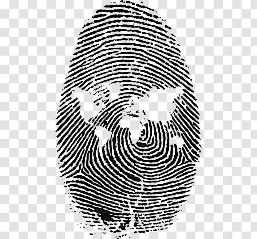 Fingerprint Clip Art - Stock Photography - Vector Transparent PNG