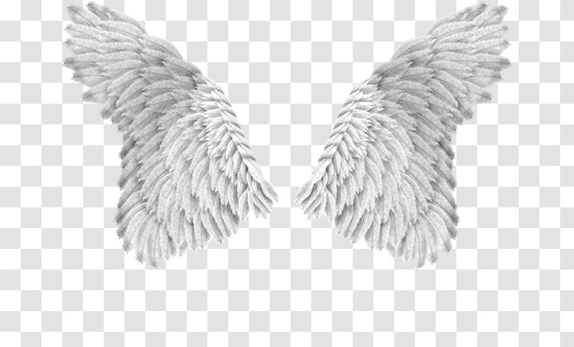 Angel Beijada Por Um Anjo, V.1 - Neck - Anjo WingAngel Transparent PNG