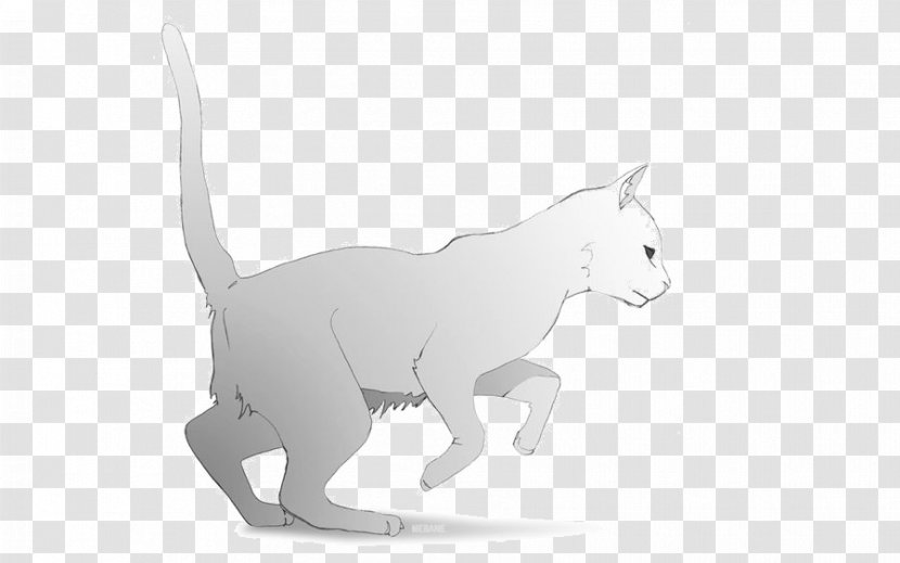 Kitten Cartoon - Cat - Animation Animal Figure Transparent PNG