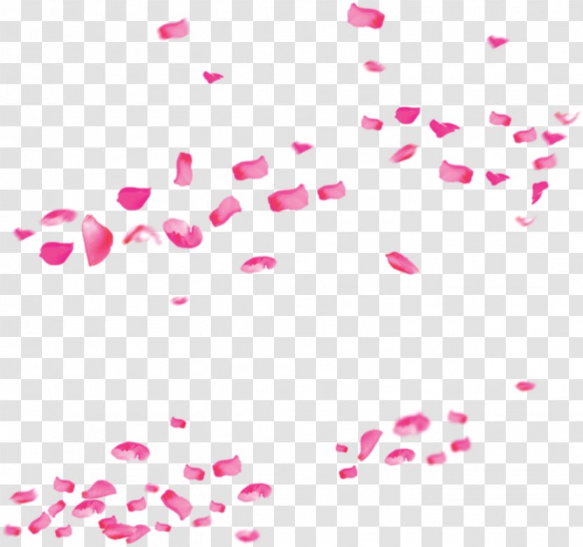 International Womens Day Valentines - Silhouette - Pink Rose Petals Drift Transparent PNG