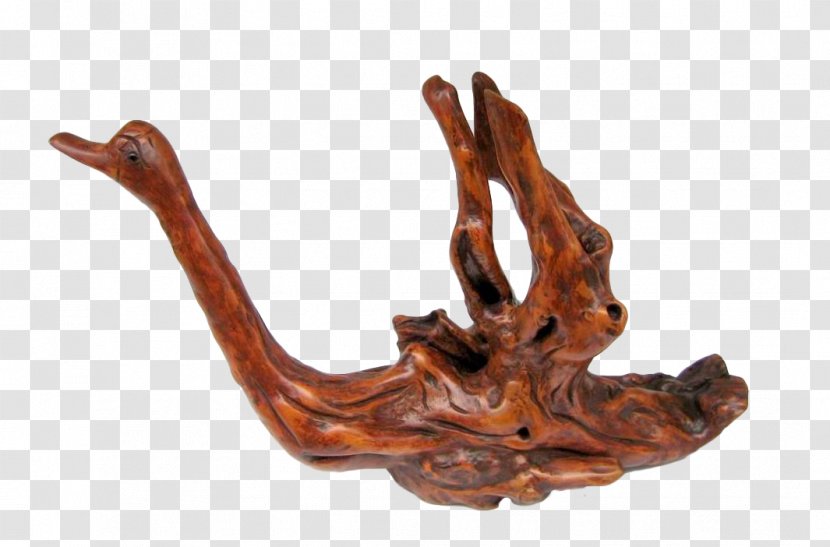 Thuja Sutchuenensis Chengkou County Daba Mountains Cypress Work Of Art - Swan Carvings Transparent PNG