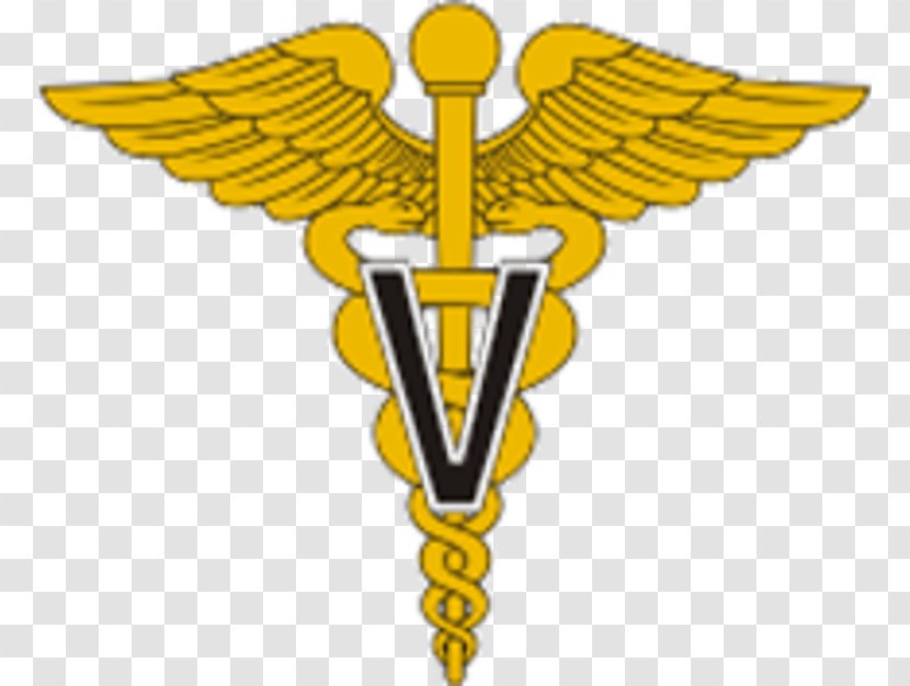 United States Army Nurse Corps Nursing Care Military Medical Department - Combat Support Hospital Transparent PNG