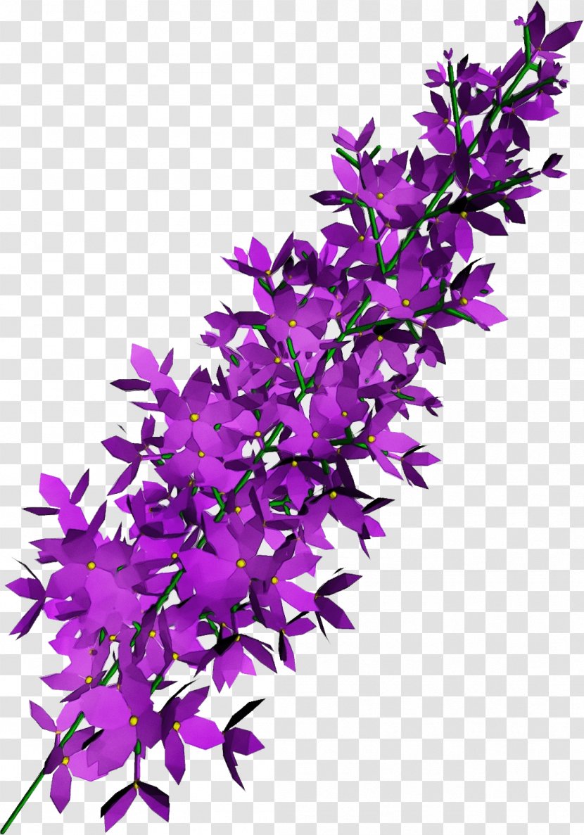 Purple Flower Lilac Plant Violet - Twig - Dendrobium Flowering Transparent PNG