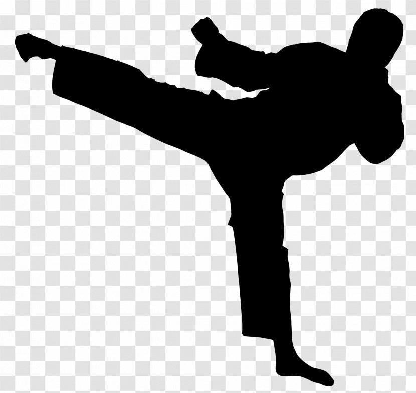 Chinese Martial Arts Karate Taekwondo Kuk Sul Do - Jujutsu Transparent PNG