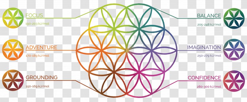 Coloring Book Mandala Meditation - Logo - Phial Transparent PNG
