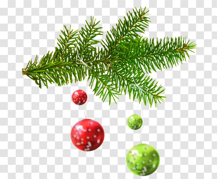 Christmas Ornament Fir Day New Year Tree Transparent PNG