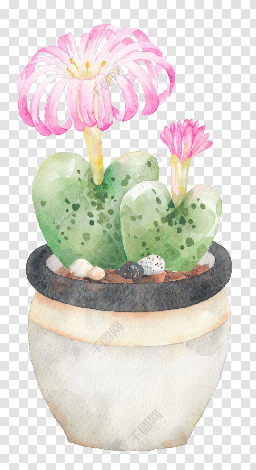 Vector Graphics Graphic Design Image - Cactus - Blooming Transparent PNG