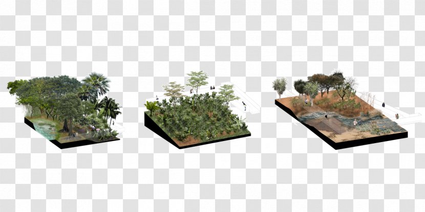 Tree Flowerpot - Plant Transparent PNG
