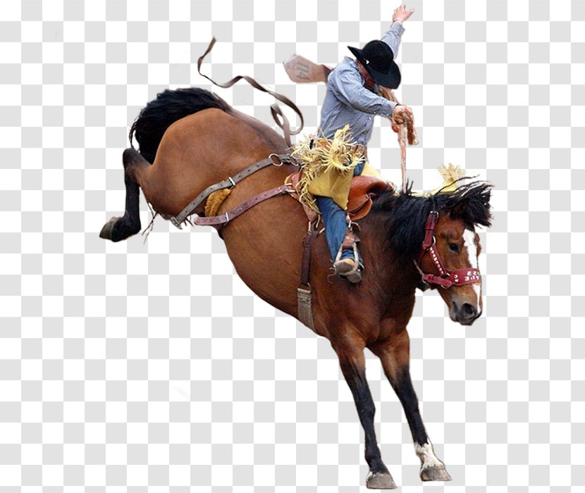 Miles City Bucking Horse Sale Rodeo Bronc Riding - Saddle - RODEO Transparent PNG