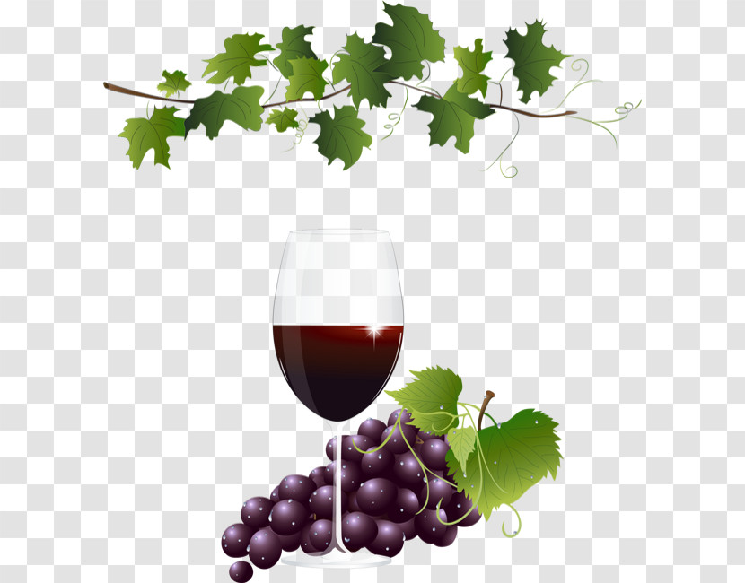 Wine Glass Transparent PNG