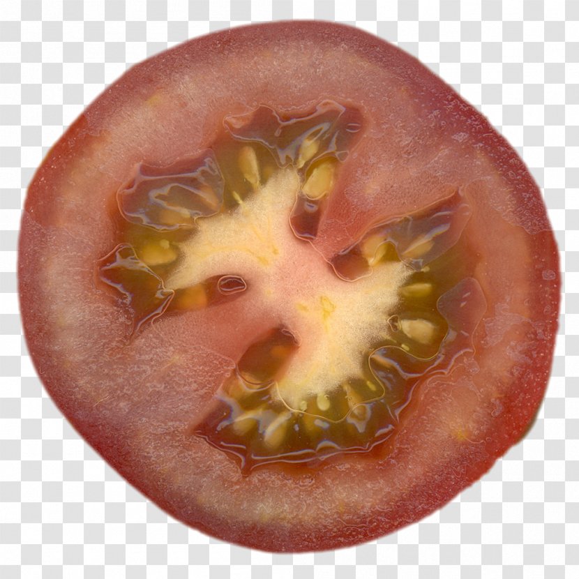 Tomato Fruit Food Vegetable Photography - Symmetry Transparent PNG