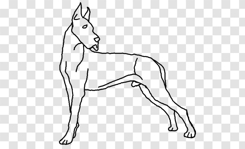 Dog Breed Great Dane Line Art Drawing - Male - GREAT DANE Transparent PNG