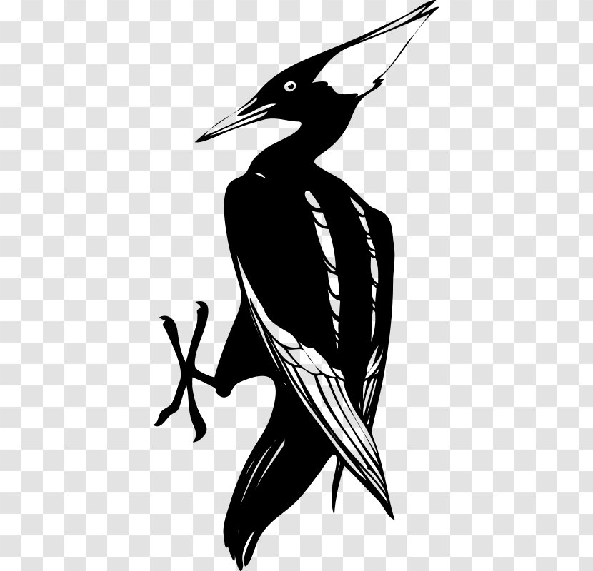 Woody Woodpecker Clip Art - Bird Transparent PNG