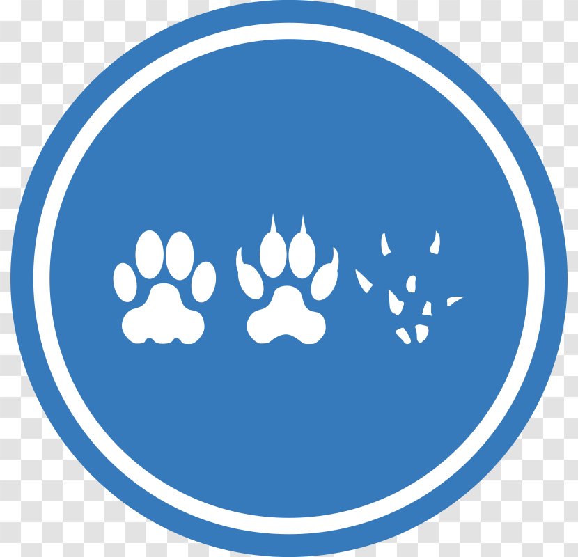Dogu2013cat Relationship Mouse Clip Art - Catdog - Starburst Templates Transparent PNG