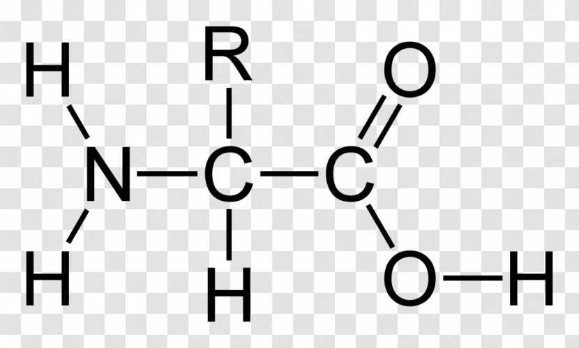 Acetic Acid Amino Acid–base Reaction - Diagram - Essential Transparent PNG